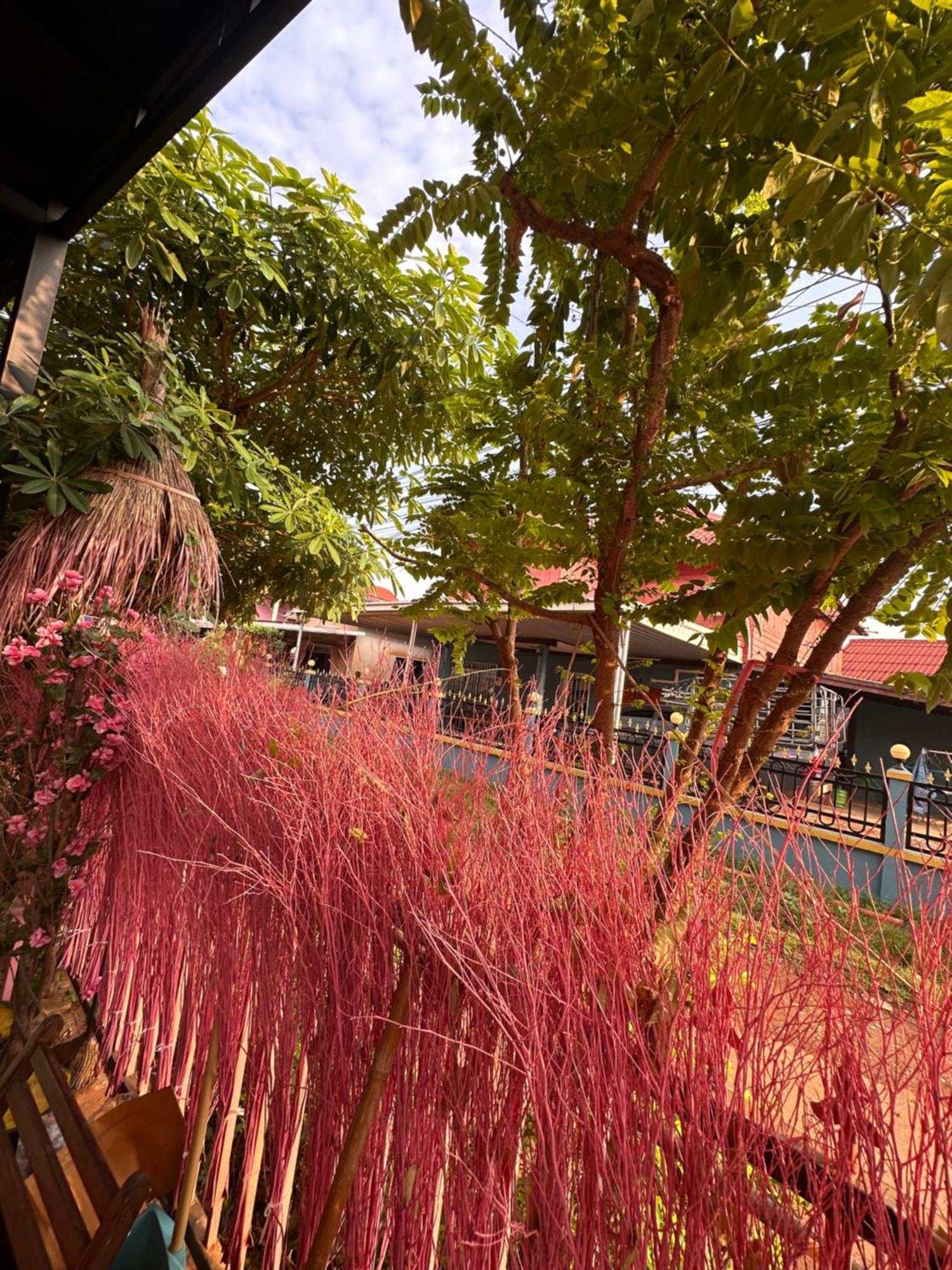 Heaven Guesthouse Pakse Bagian luar foto